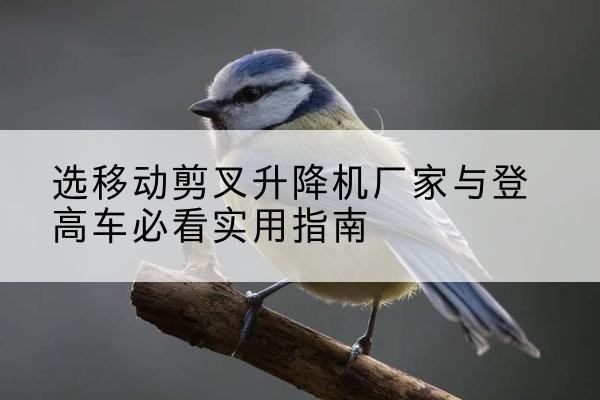 亚东电动升降机厂家-选移动剪叉升降机厂家与登高车必看实用指南