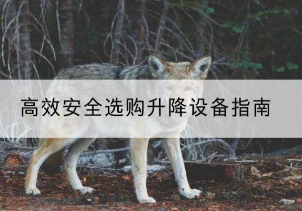 亚东升降货梯厂家推荐-*安全选购升降设备指南
