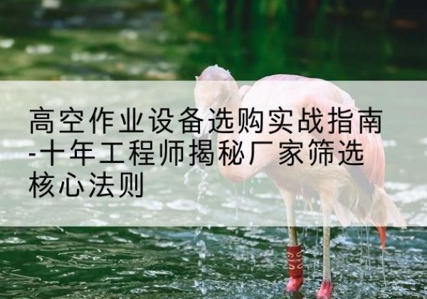 亚东剪叉式升降机厂家-高空作业设备选购实战指南-十年工程师揭秘厂家筛选核心法则